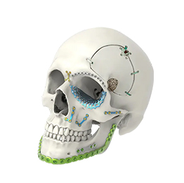 CMF Maxillofacial