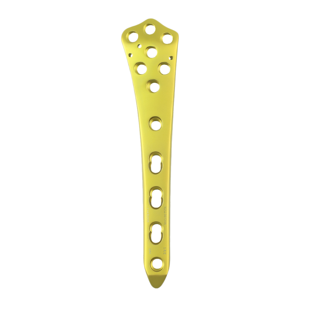Femoral Locking Plate Set