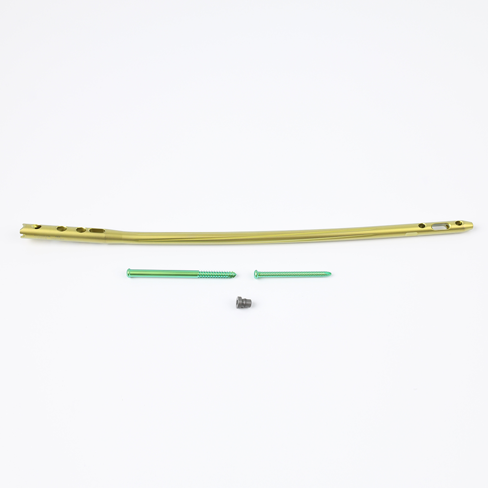 Femoral Expert Intramedullary Nail