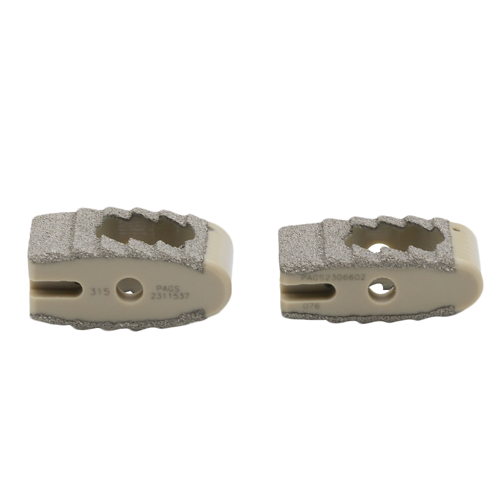 Titanium Coating Fusion PLIF Cage