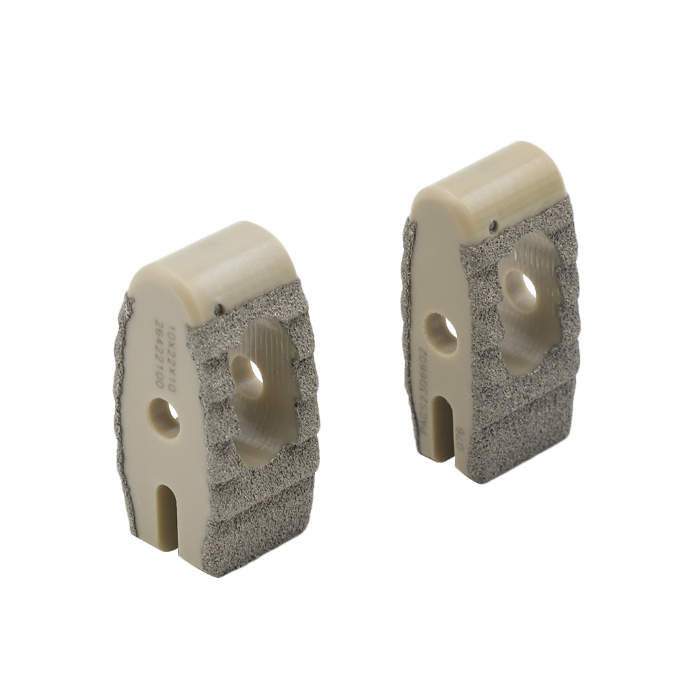 Titanium Coating Fusion PLIF Cage