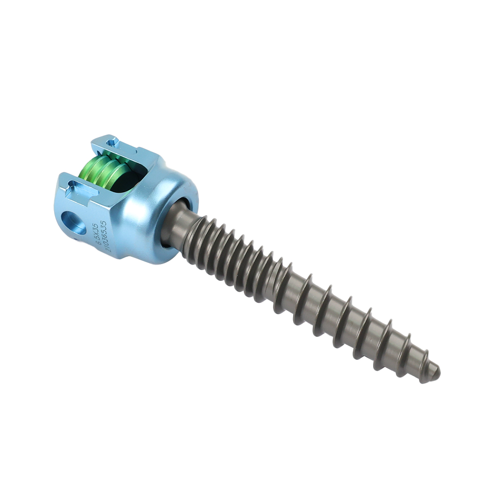 5.5 Pedicle Screw System