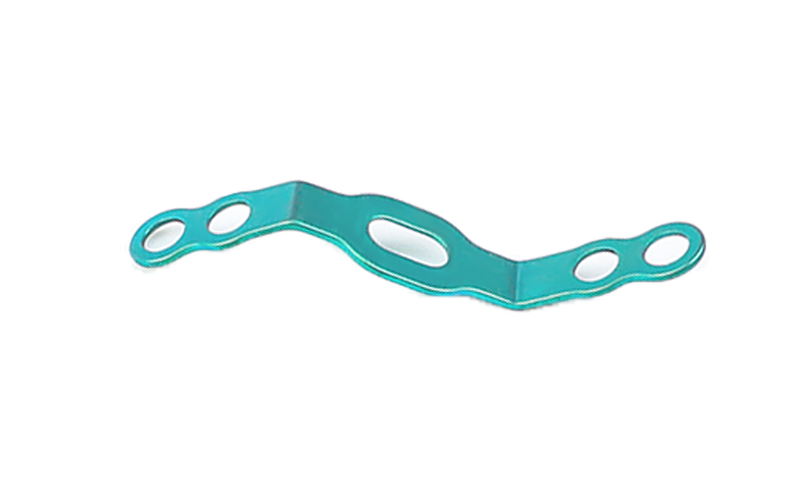 Bone Graft Plate-4.png