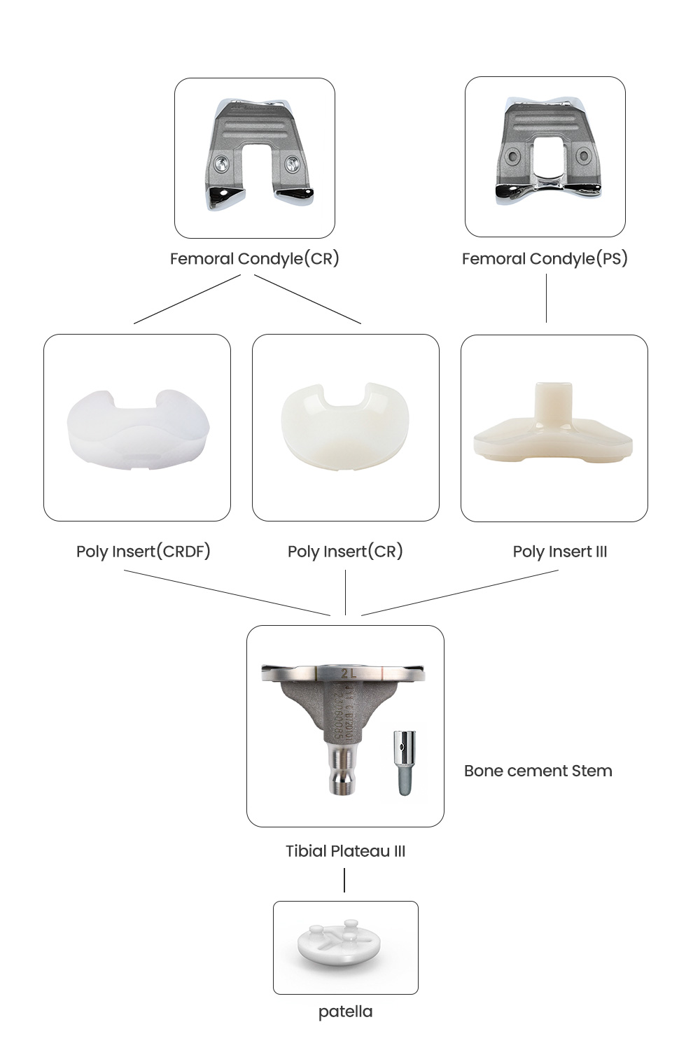 High Flexion TKA System III.jpg