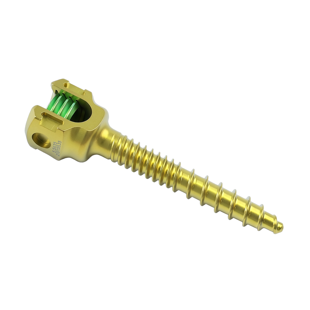 5.5 Pedicle Screw System