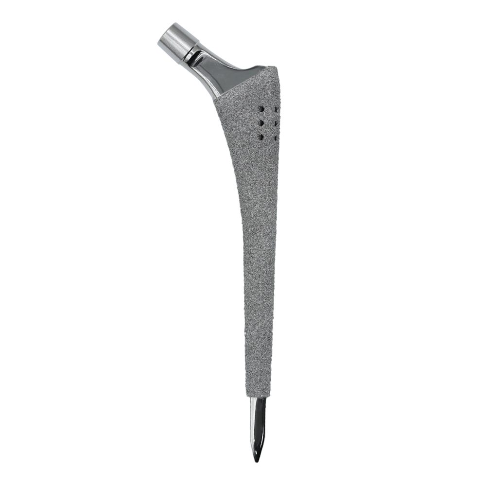 Bravo Cementless Revision Hip Stem 