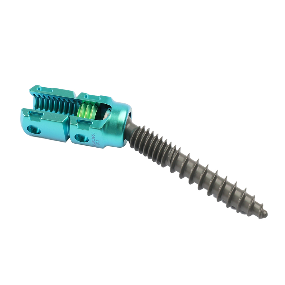 5.5 Pedicle Screw System