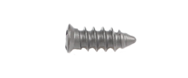 Self-tapping Screw-3.0.png